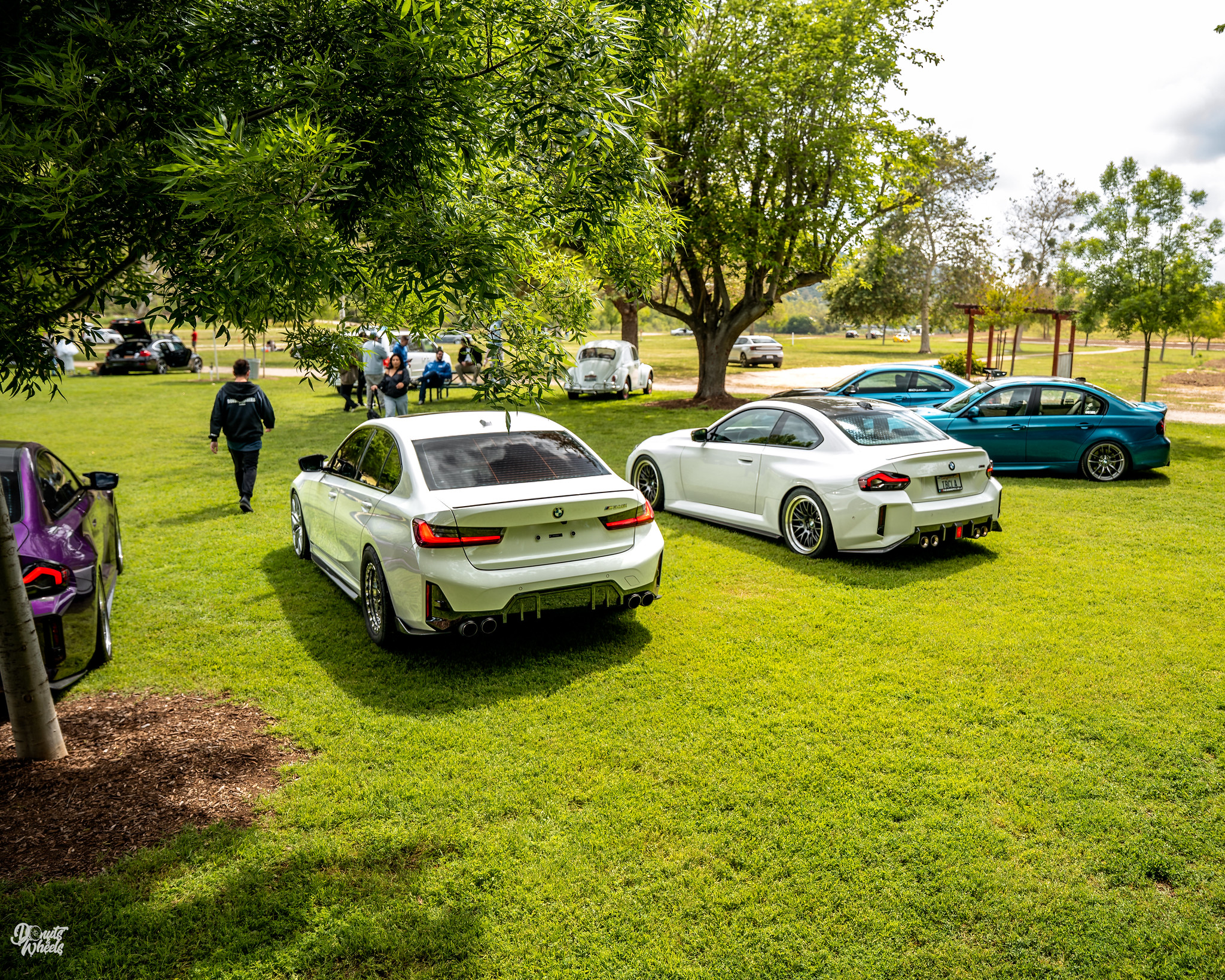 Spring Festival 2026 scene